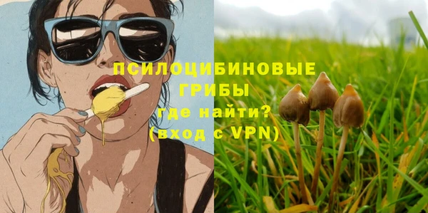 ПСИЛОЦИБИНОВЫЕ ГРИБЫ Аркадак