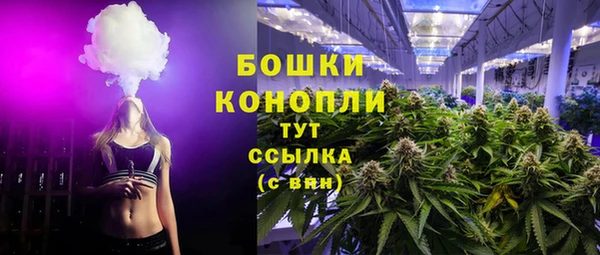 ПСИЛОЦИБИНОВЫЕ ГРИБЫ Аркадак
