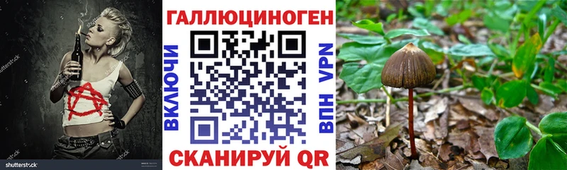 blacksprut ссылки  Вятские Поляны  Галлюциногенные грибы GOLDEN TEACHER 