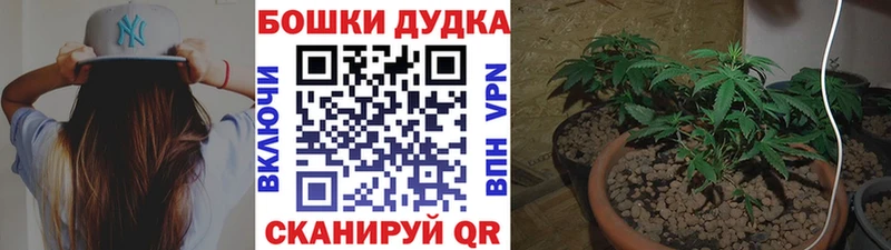 Канабис AK-47  где купить   Вятские Поляны 